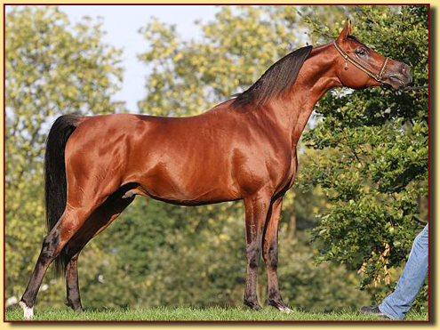 Kubay Khan 2 jaar oud